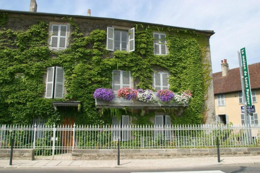  - ©LES MAISONS DE LOUIS PASTEUR DOLE-ARBOIS