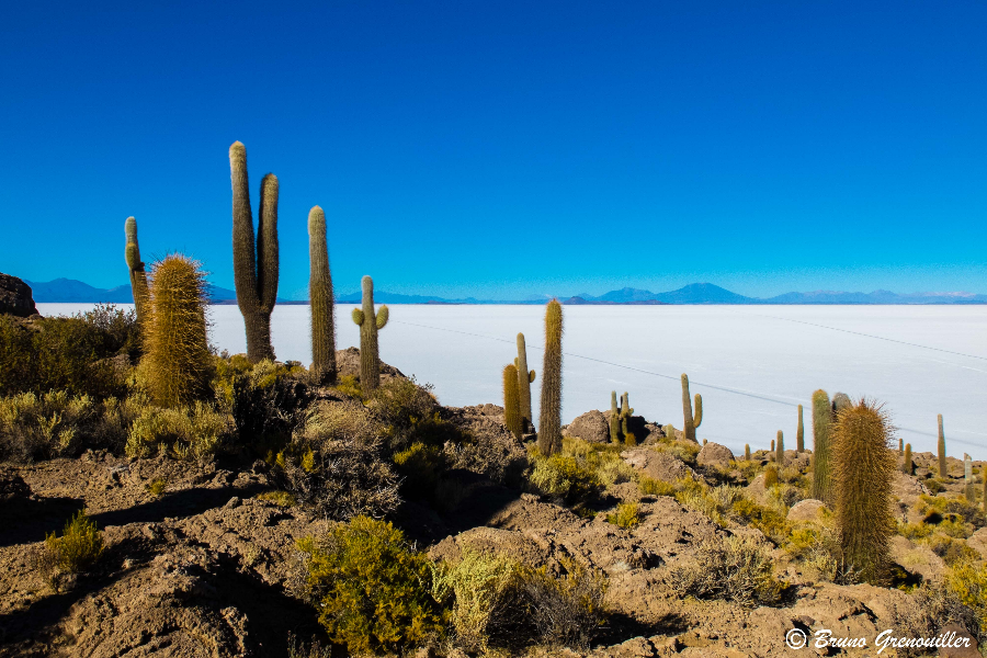 Salar d'Uyuni - Bolivie - ©Bruno Grenouiller