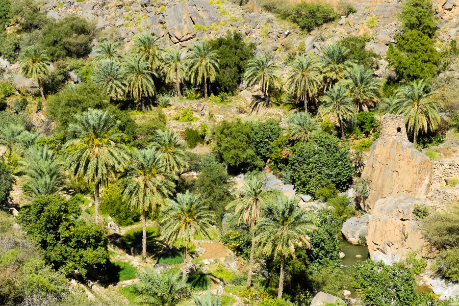 Oasis de Misfat - Oman - ©Bruno Grenouiller