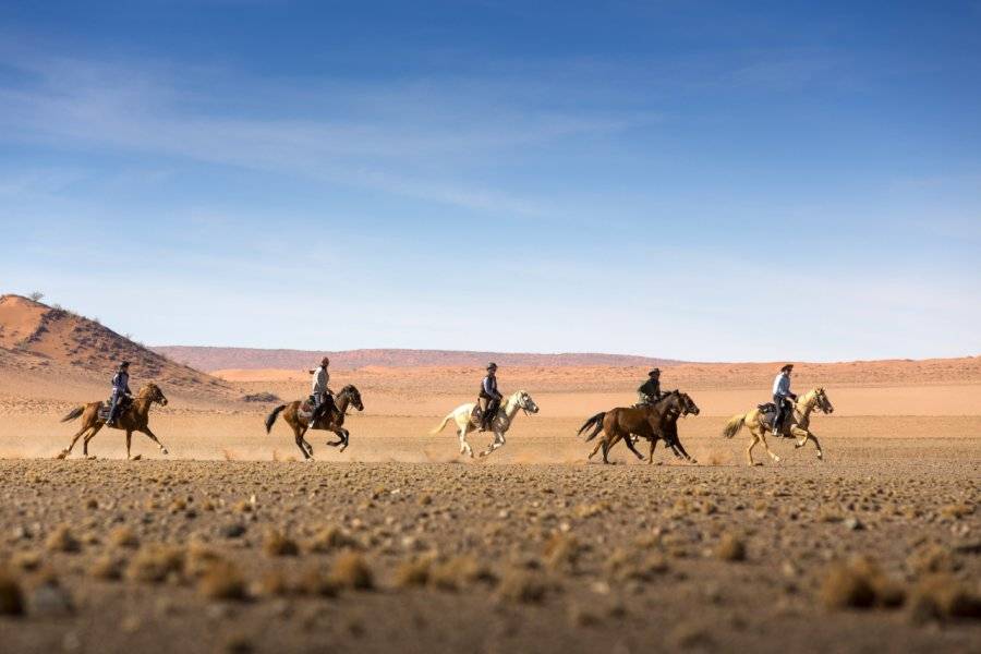 Safari équestre - Namib - ©Namibia Horse riding safaris