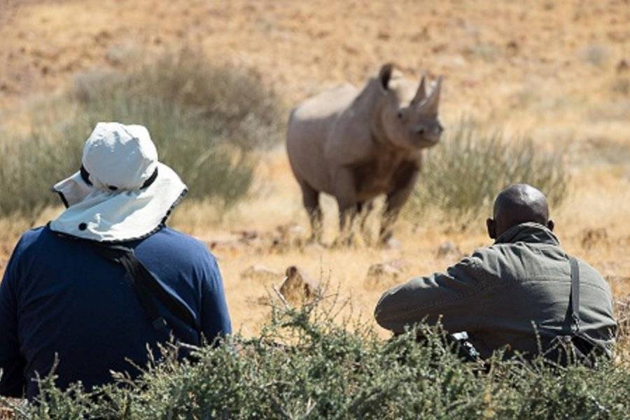 Black rhino tracking - Damaraland - ©Dana Allen - Wilderness Safaris