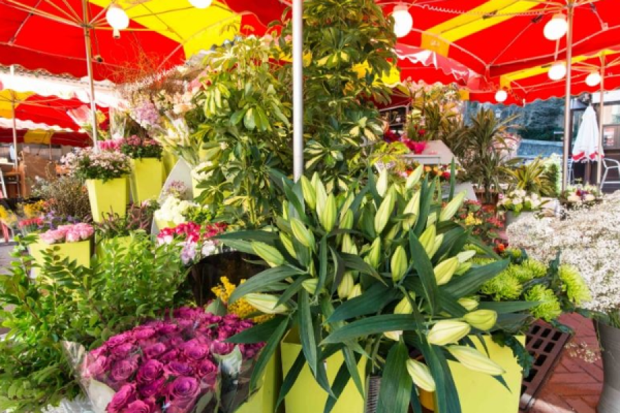 Fleurs du marché de la Condamine, Monaco - ©JCH DUSANTER