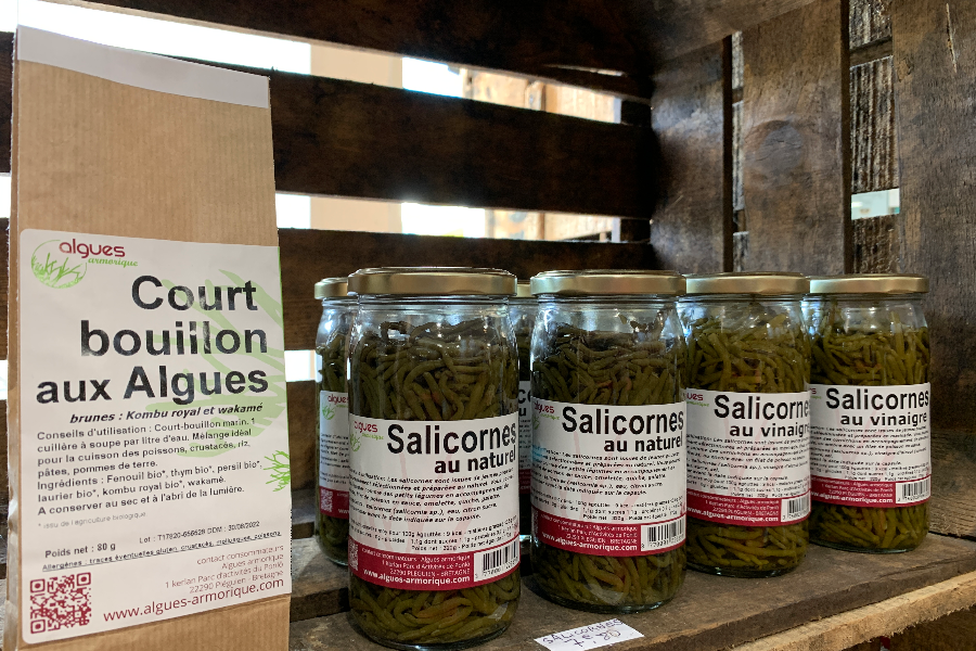 Salicornes - Algues Armoriques - Chez Ty Kouign - ©Laetitia Steimetz