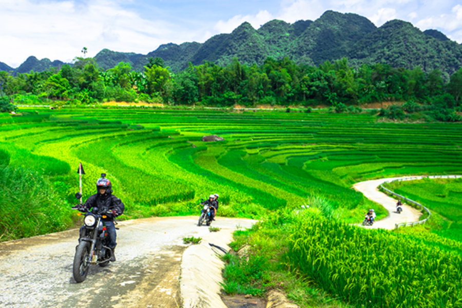 Vietnam Exploration - ©Vietnam Exploration