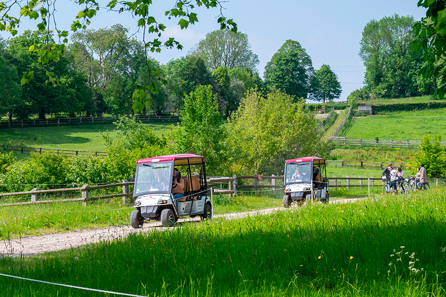 Balade en golfette ou à vélo sur le Domaine - ©David COMMENCHAL