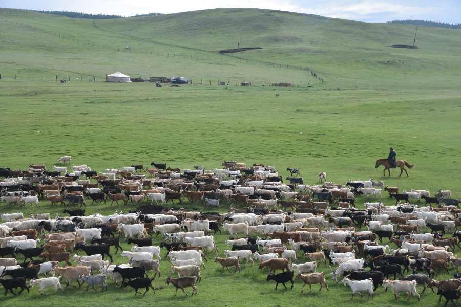 Mongolian country side - ©Tour Mongolia