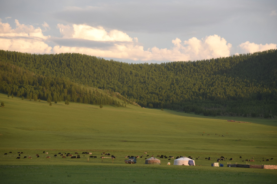 Nomadic lifestyle - ©Tour Mongolia