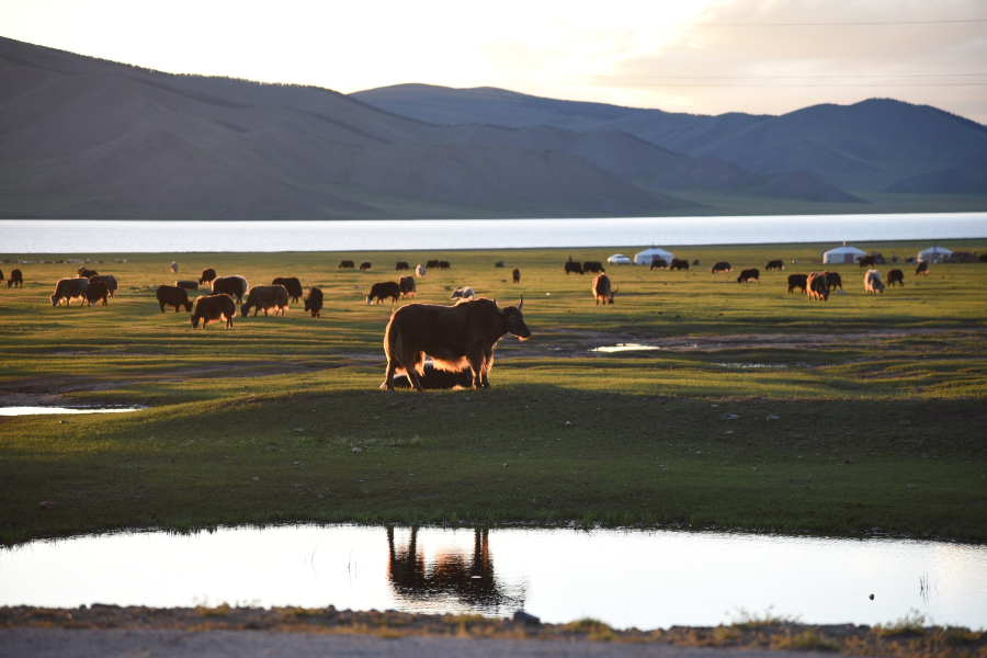Nomad life - ©Tour Mongolia
