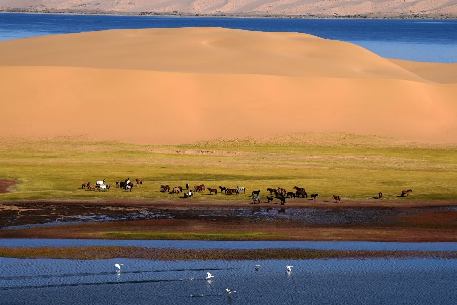 Har nuur - ©Tour Mongolia