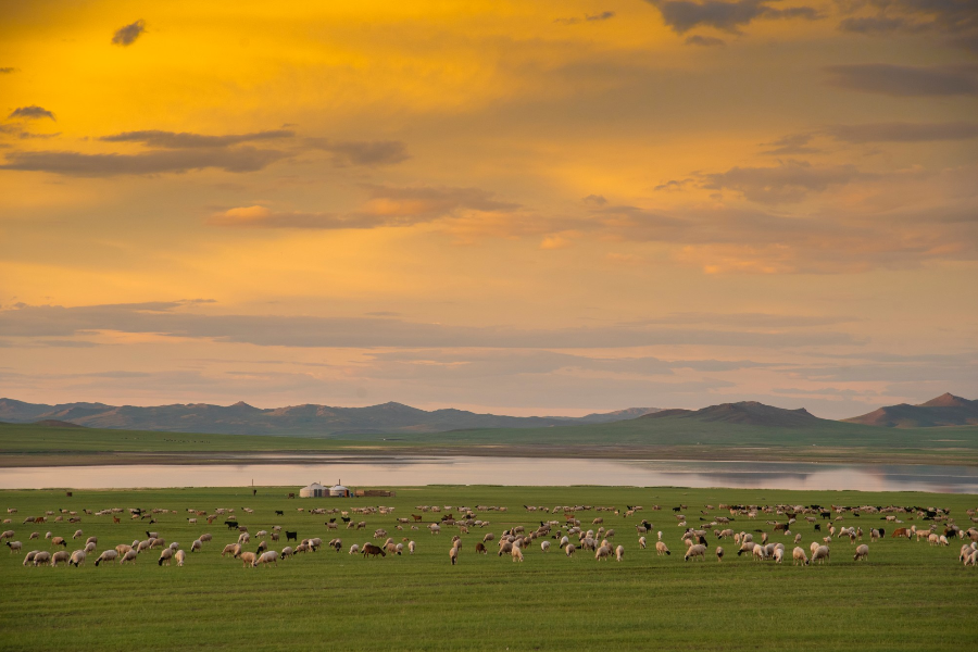 Sunset in Mongolia - ©Tour Mongolia