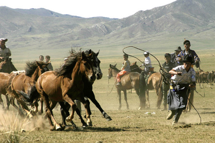 Mongolie Plus - ©Mongolie Plus