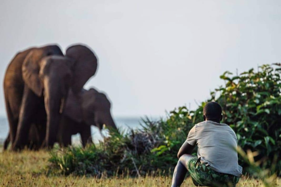  - ©NKOMBE RÉMY TOUR GABON