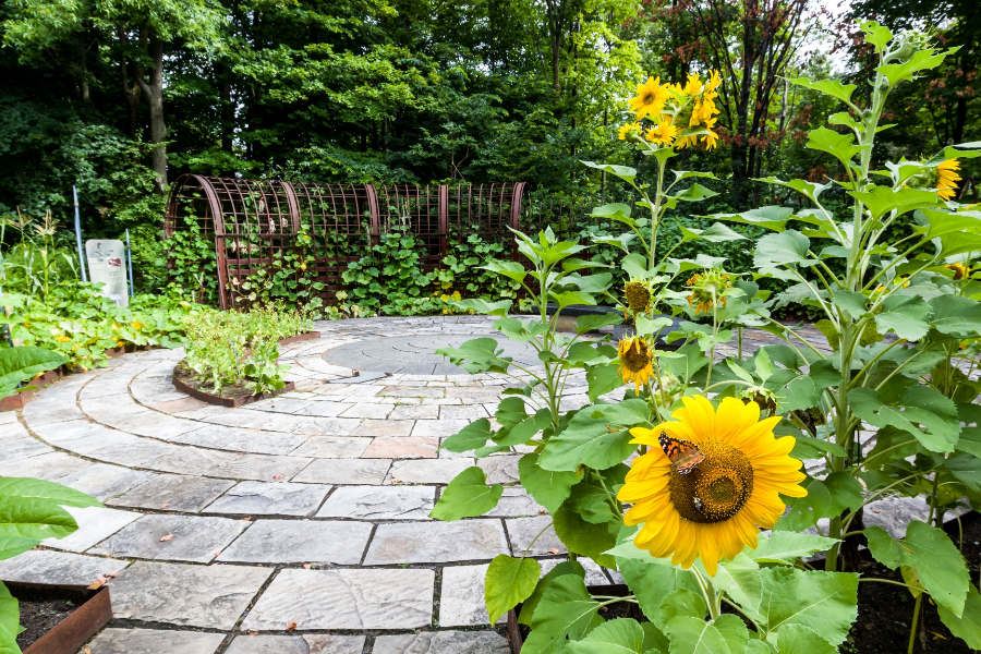 Vue du Jardin des Premières-Nations - ©Espace pour la vie/Claude Lafond