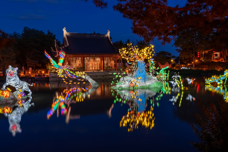 Le Lac de rêve du Jardin de Chine durant l'événement automnal Jardins de lumière - ©Espace pour la vie/Claude Lafond