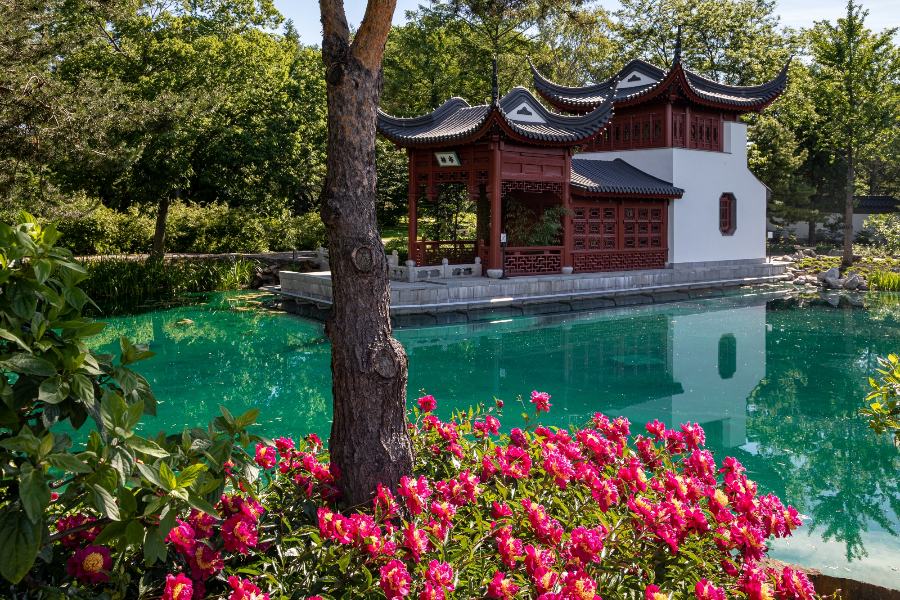 Vue du Jardin de Chine - ©Espace pour la vie/Claude Lafond