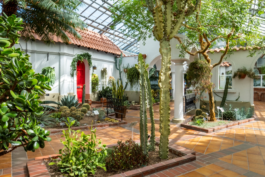 La Hacienda, une des serres du Jardin botanique - ©Espace pour la vie/Mathieu Rivard