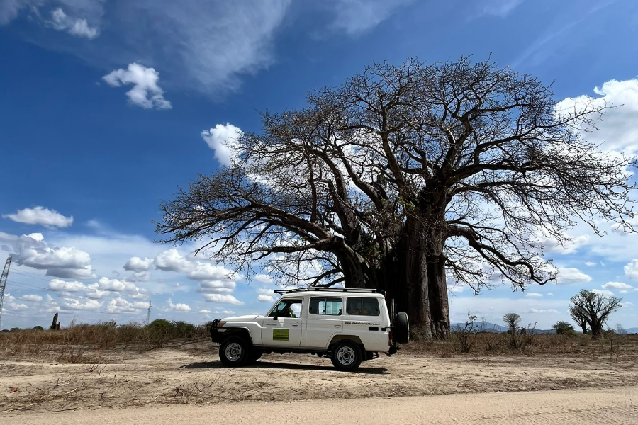 Safari-ready 4x4 Adventure