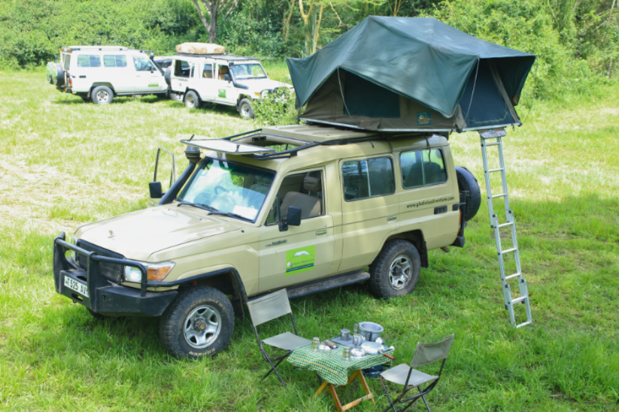 Fully equipped  4x4 Safari vehicle for Camping and Nature