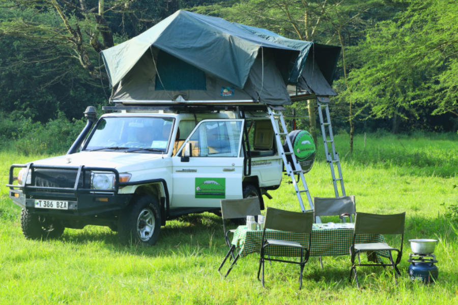 Tanzania Adventure Awaits: Rent your 4x4 Camping Vehicle for the Ultimate Roadtrip - ©Gladiola Adventure LTD