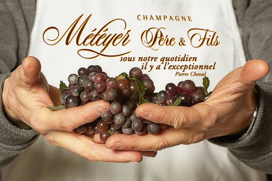 Viticulture durable - ©CHAMPAGNE METEYER PÈRE & FILS