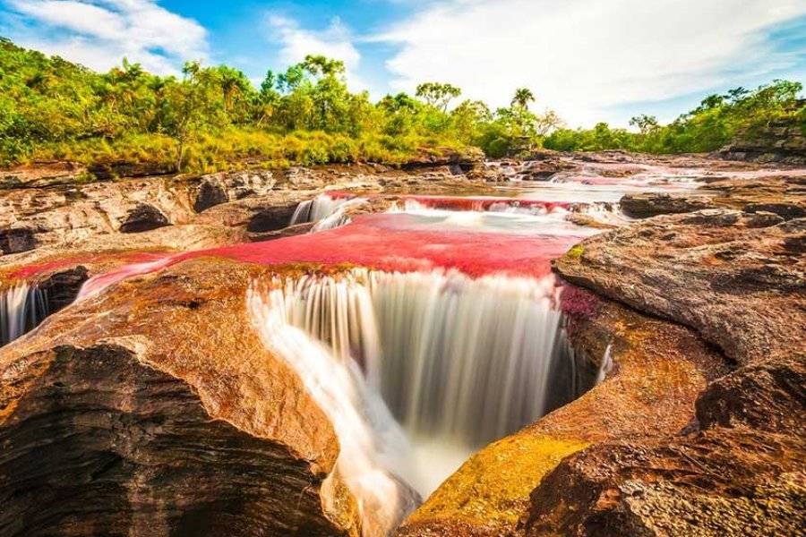 Caño Cristales - ©ARAWAK COLOMBIE