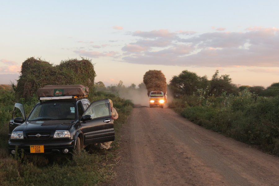 Budget self drive adventure in Tanzania. Rent 4x4 Suzuki Escudo with a rooftop tent and camping equipments.. - ©mili adventure africa