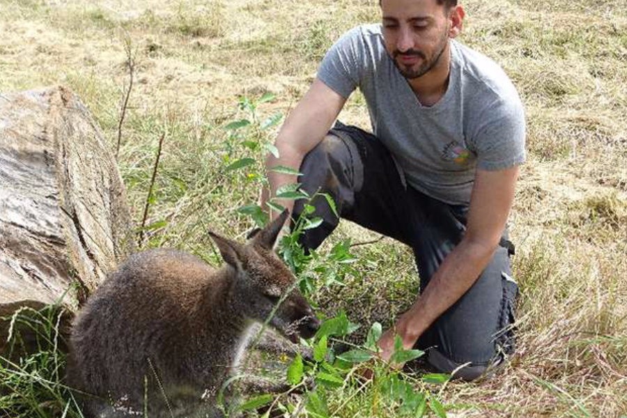 Immersion dans le bush australien