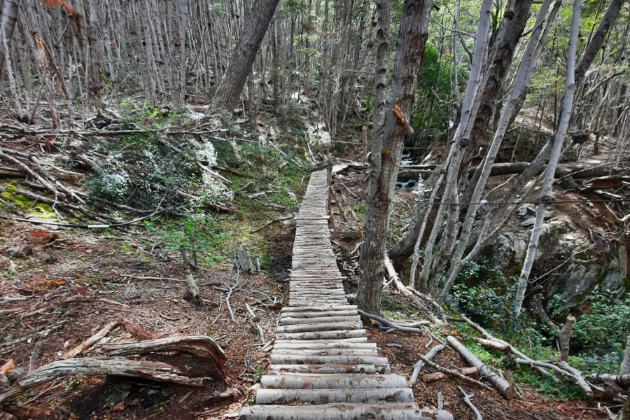  - ©LATITUD USHUAIA TRAVEL