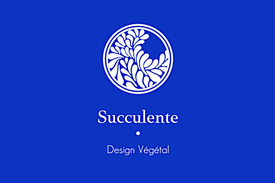 Succulente - ©Succulente