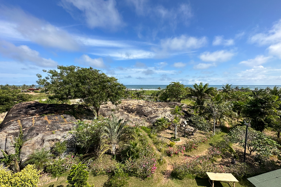 Rocher et plage Eden Roc