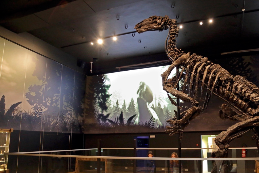 Musée de l'Iguanodon - Bernissart - ©Visitwapi.be