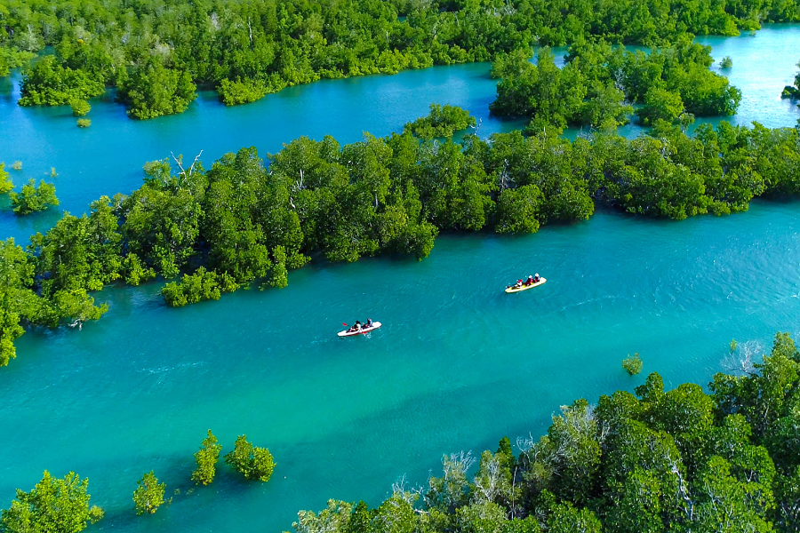NATURE & CULTURE MADAGASCAR