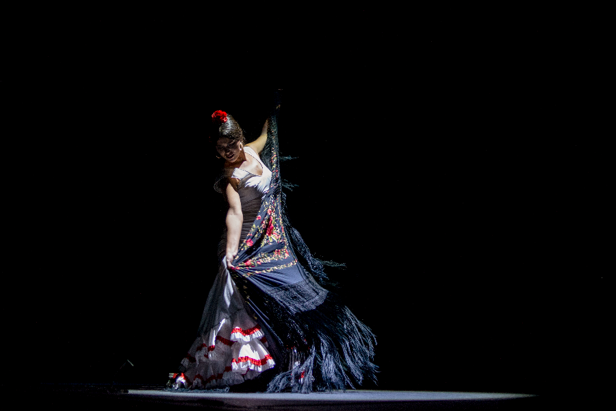 TEATRO FLAMENCO