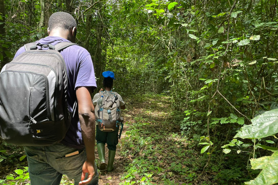 Sur le chemin du campement d'écotourisme - ©Wild Chimpanzee Foundation