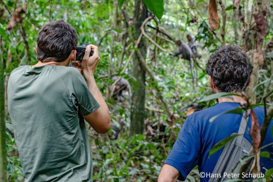 Touristes - ©ECOTOURISME TAÏ