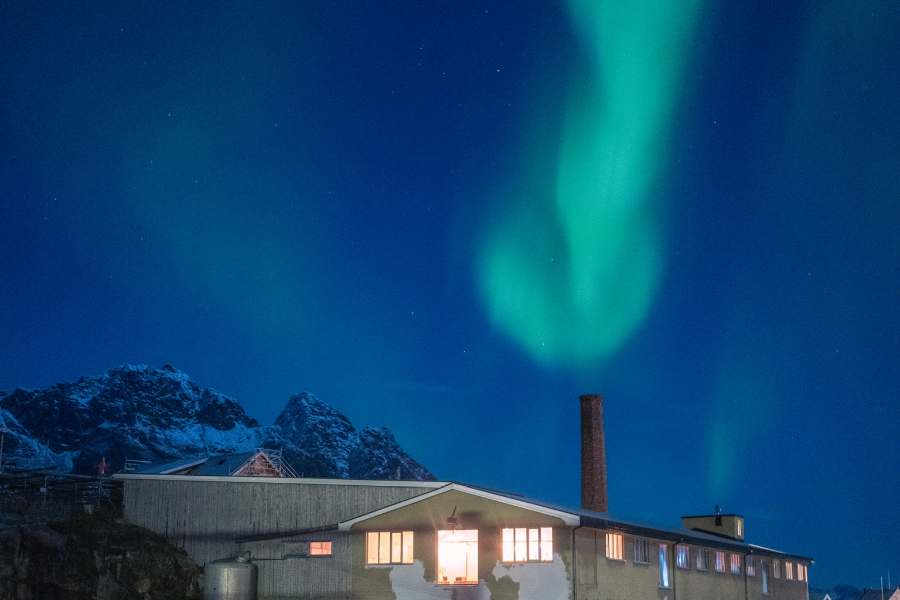 Trevarefabrikken-Henningsvær-Northern Lights - ©Trevarefabrikken