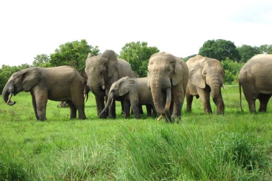 ASHANTI AFRICAN TOURS