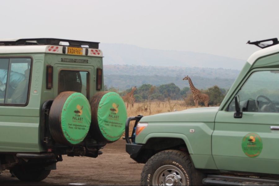 Akagera National Park - ©Palast Tours & Travels