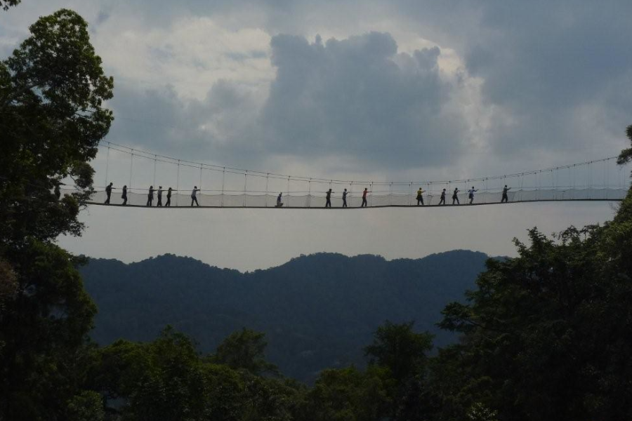 Canopy Walk - ©Palast Tours& Travels