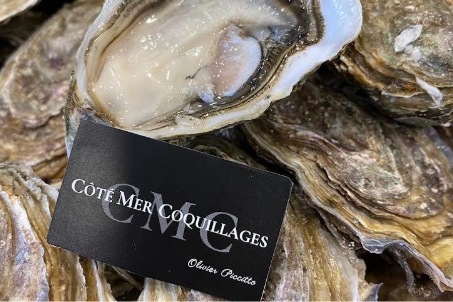 COTE MER COQUILLAGES - ©COTE MER COQUILLAGES