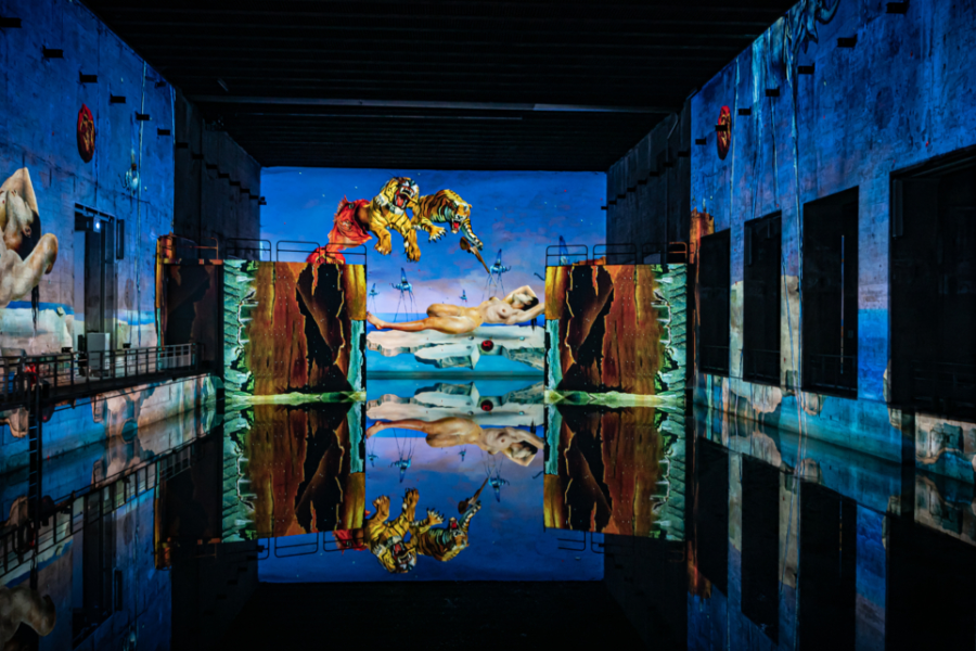 Bassins des Lumières, Exposition, Dali, l'énigme sans fin - ©Culturespaces/Eric Spiler