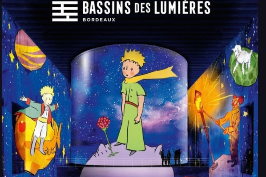 le petit prince - ©Les bassins de lumières