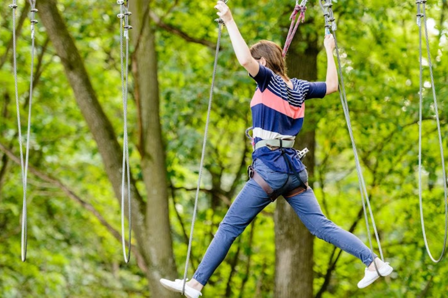  - ©LA FORÊT D'ACROBATES