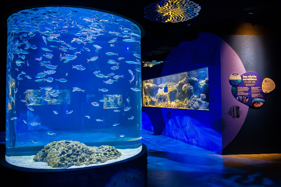 Odysseo Oceanarium - ©Odysseo Oceanarium