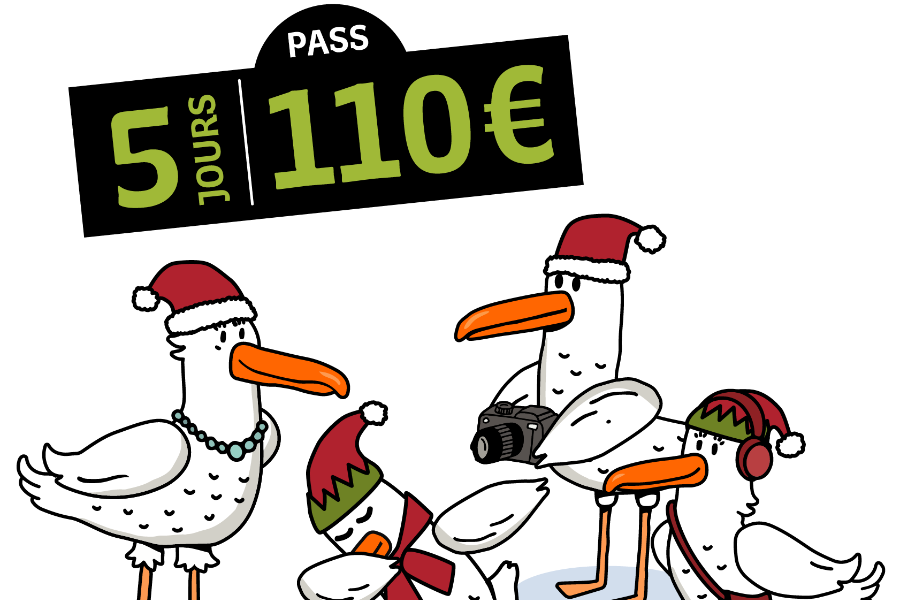 Pass 5 jours 110 € - ©TER BreizhGo