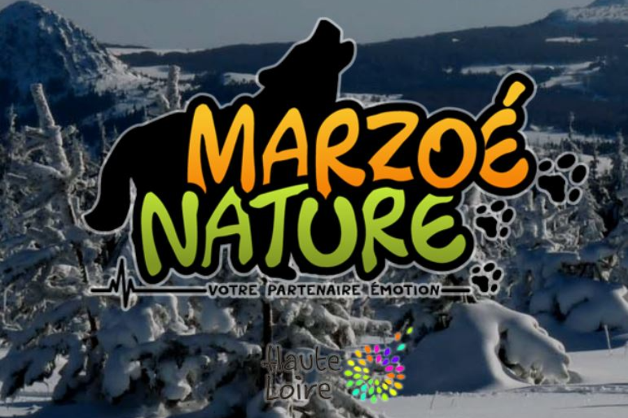 Chiens de traineaux - Terre et Neige à NANCHEZ : Jura Tourisme
