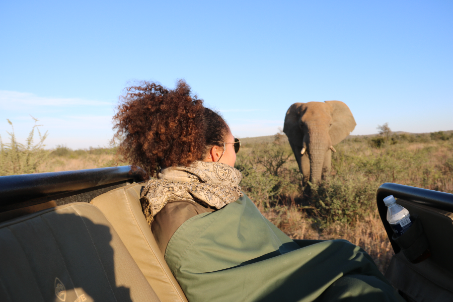 En Safaris