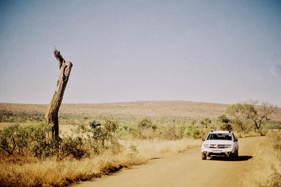 Safari en autotour