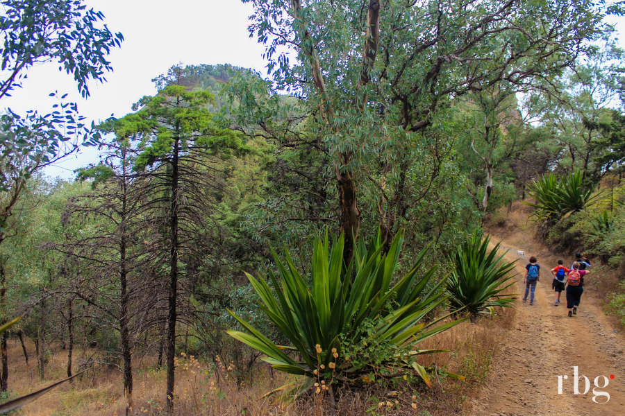 Parc Naturel Serra Malagueta - ©Rural Tours