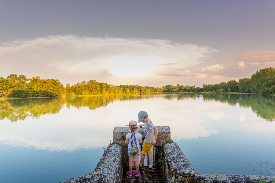 Etangs de la Dombes